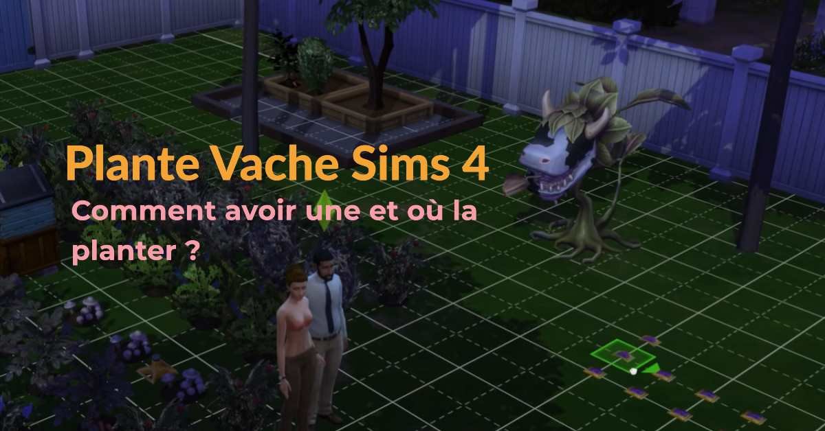 Plante Vache Sims 4 Comment L Obtenir Et La Nourrir
