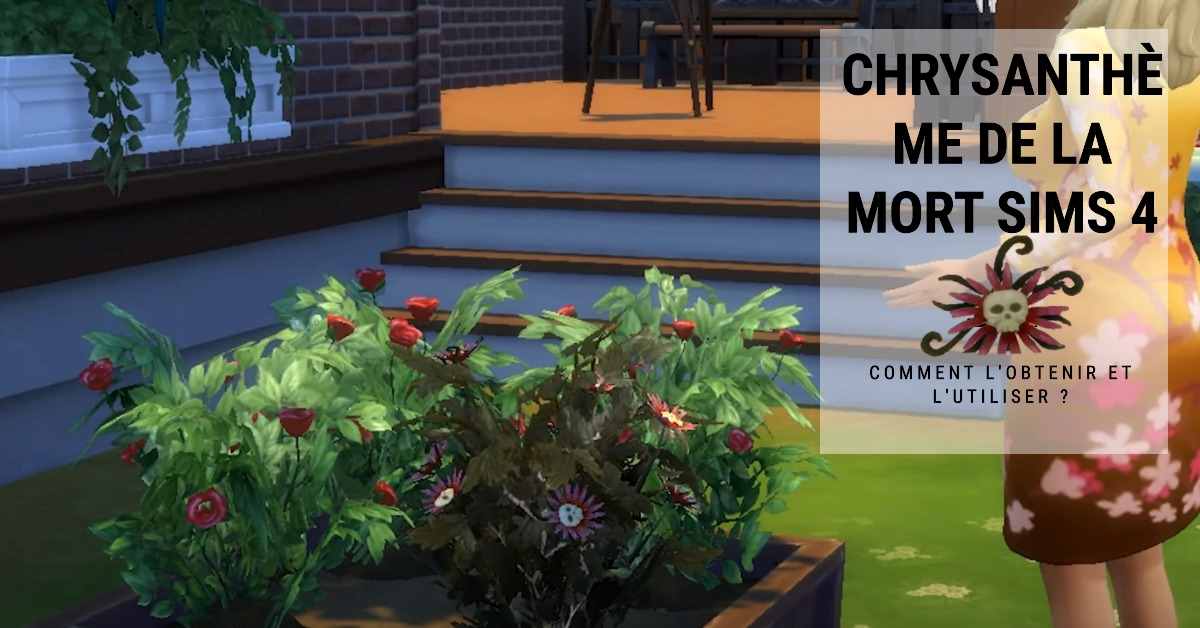 Chrysanthème de la mort Sims 4